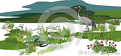 Different swamp inhabitants: animals and plants Vector Illustration